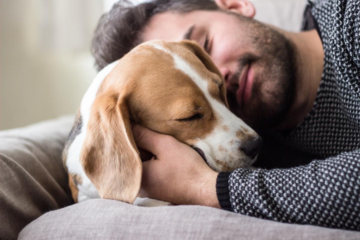 cane si lascia coccolare dal padrone