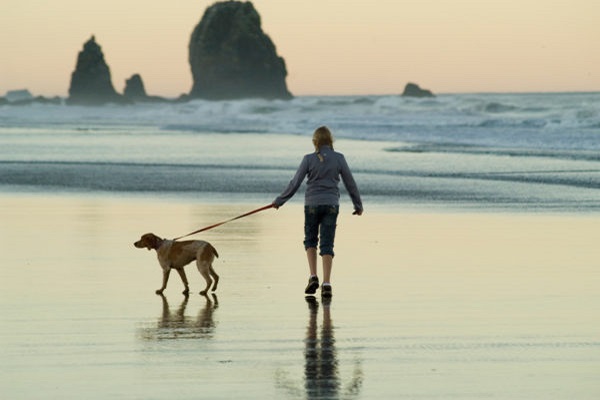 passeggiata con cane