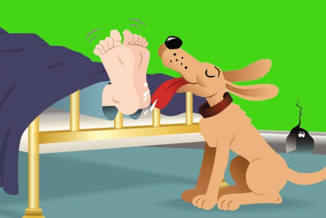 Perché i cani leccano i nostri piedi? Ci manda dei segnali. E non è l’unico gesto da conoscere…