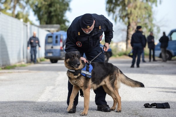 addestramento cane poliziotto