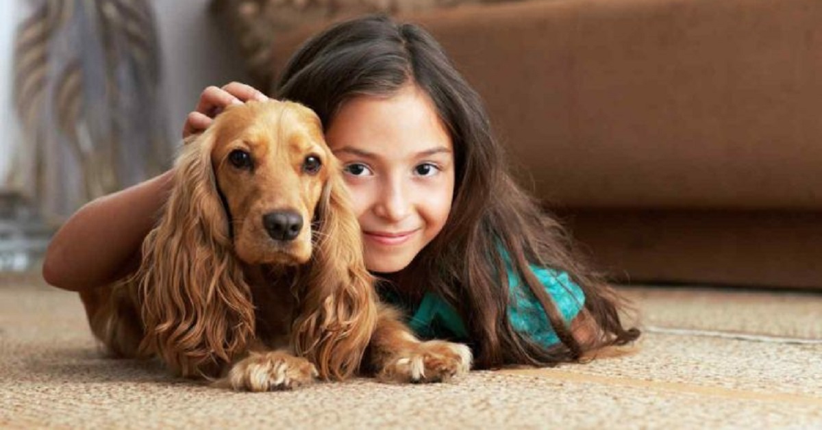 Cane salva una bambina che stava cadendo nel fiume