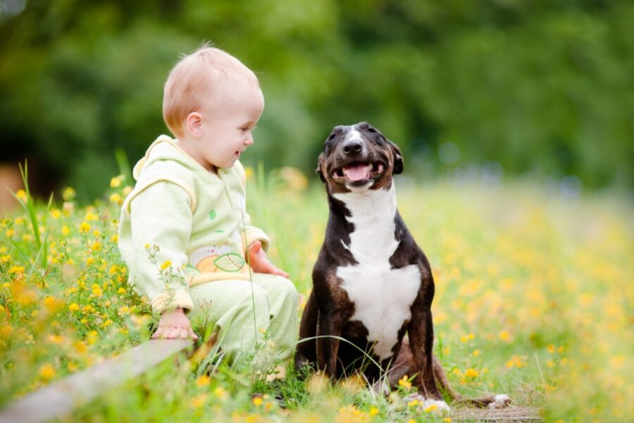 cane con bambino al parco