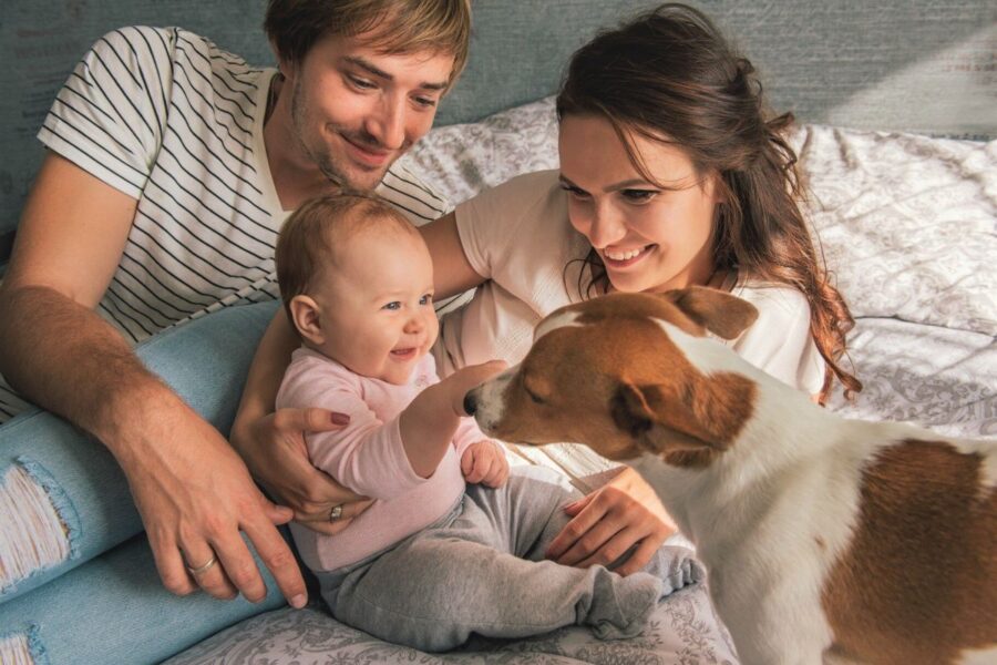 famiglia con cane e neonato