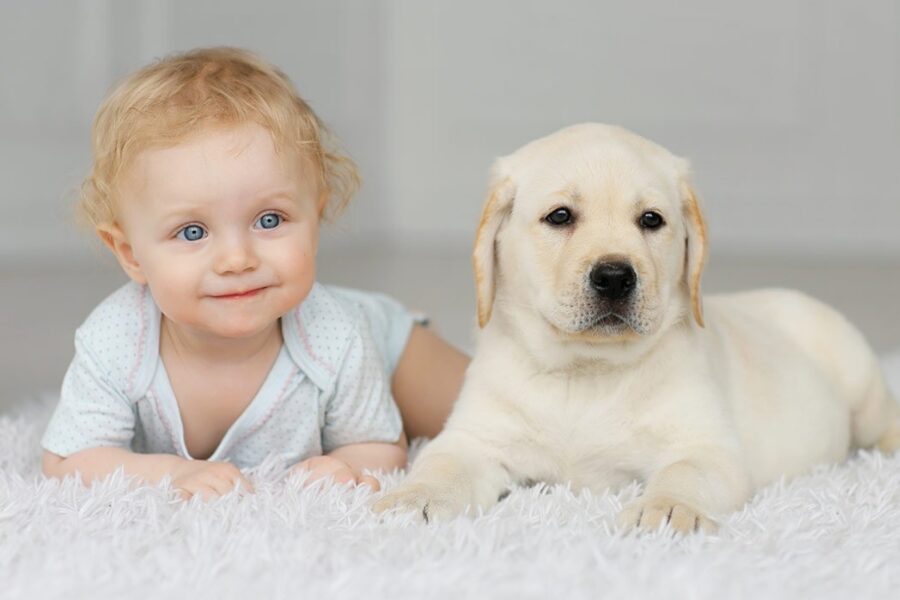 cane e bambino