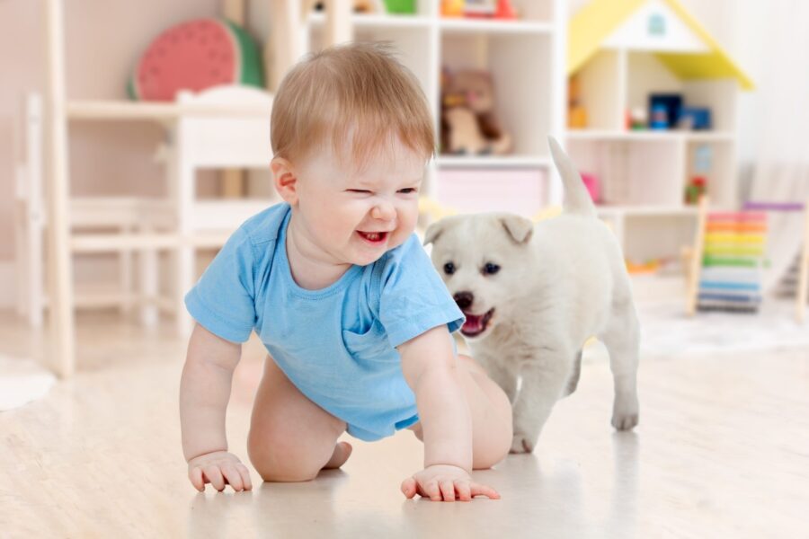 cane e bambino sul pavimento