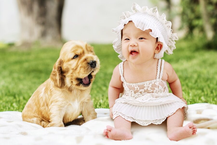 cane e bambina che sorridono