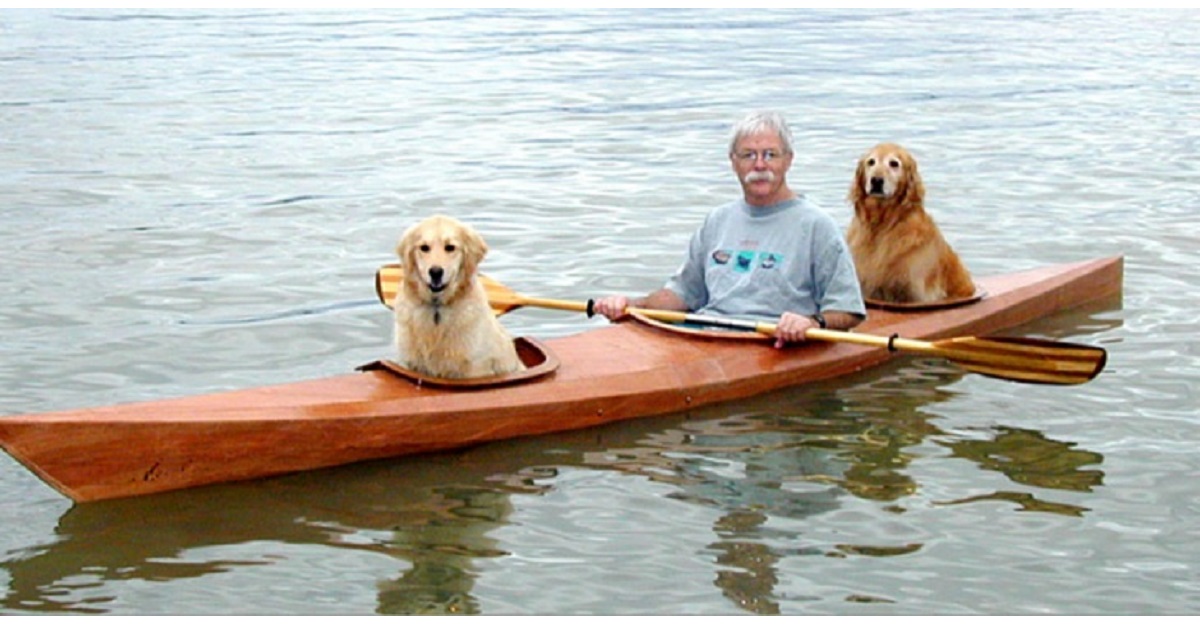 L’uomo ha costruito un kayak personalizzato per portare i suoi cani con sé durante le sue avventure