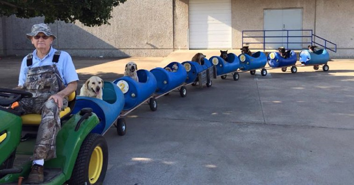 Cani trasportati da un treno speciale