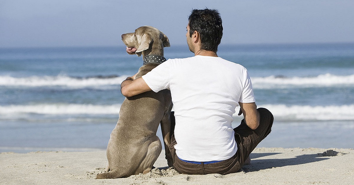 Come scegliere il cane (ed essere felici in due)