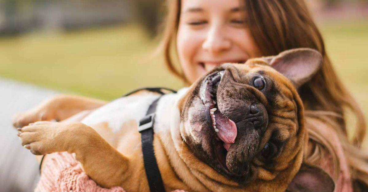 Cura dei cuccioli da 9 a 12 mesi: cosa sapere