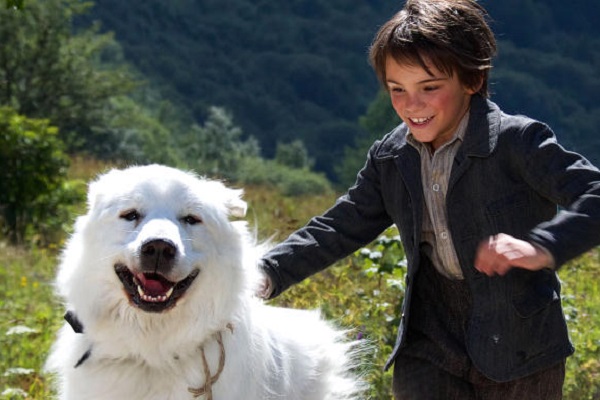 film belle e sebastien cane