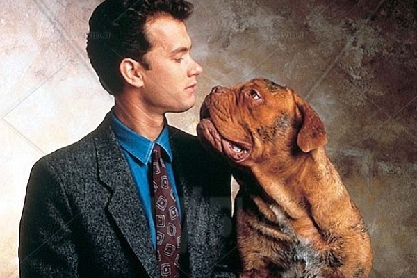 tom hanks con cane boxer