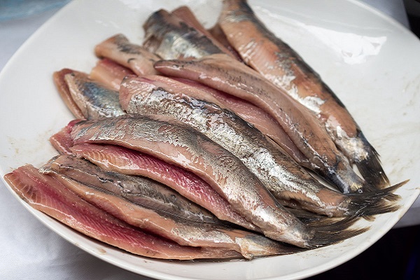 cani e pesce azzurro