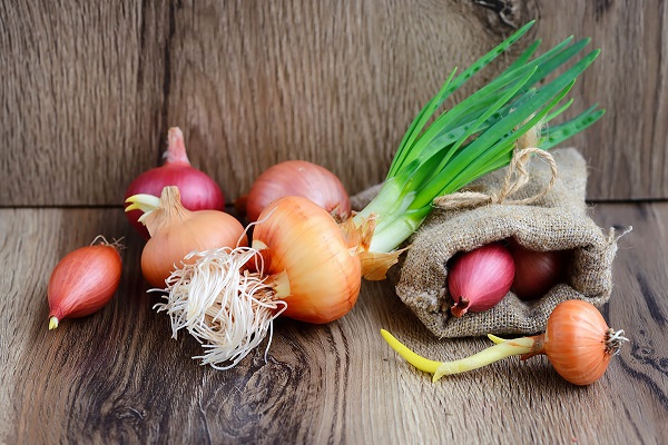 varietà di cipolle per cani