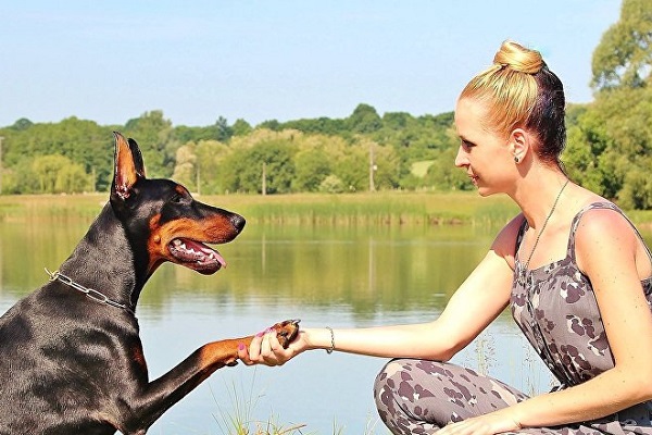 cane alano e ragazza