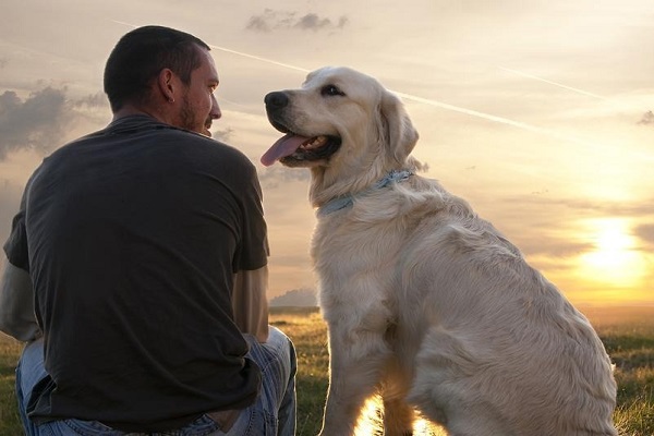 cane guarda padrone