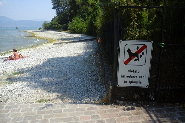 no cani in spiaggia