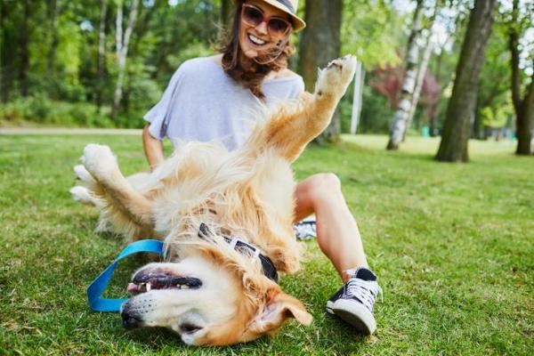 divertirsi con il cane