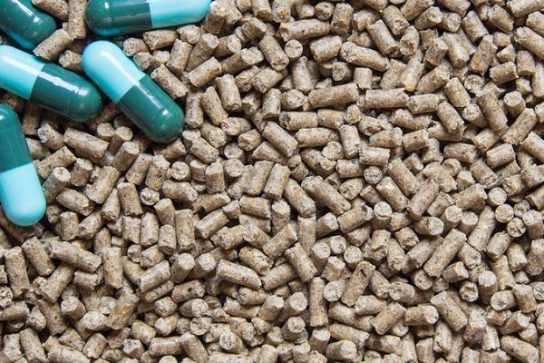 probiotici per cani