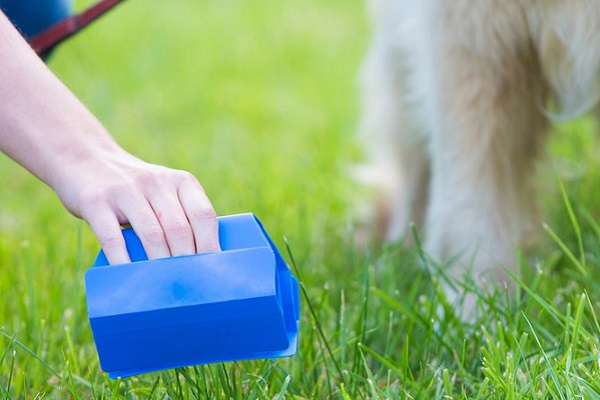 strumento per raccogliere la cacca del cane