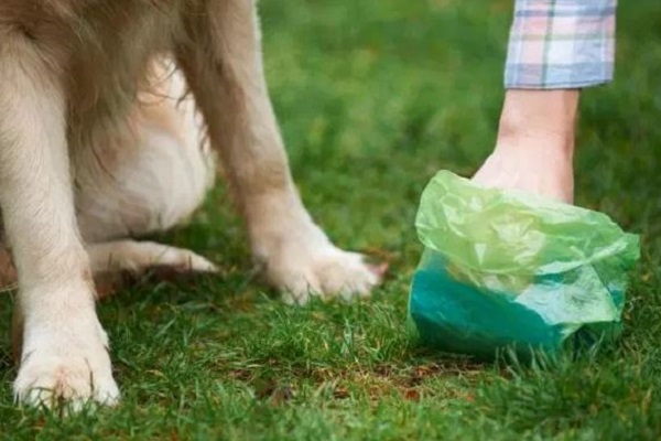 sacchetto per cacca cane