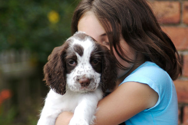 cane e bambina