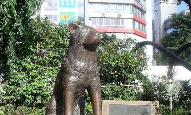 statua-hachiko