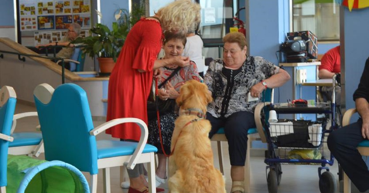 Tonengo, cani nella casa di riposo