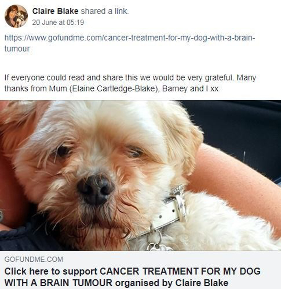 Appello per salvare un cane