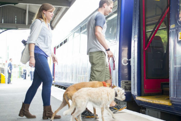 cani in treno