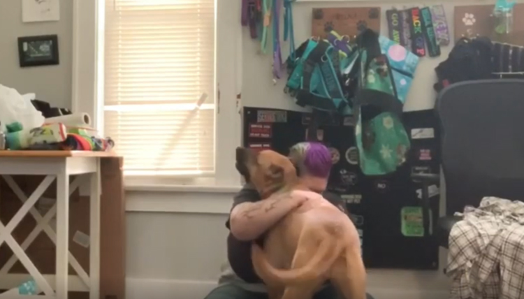 Cane abbracciato ad una donna