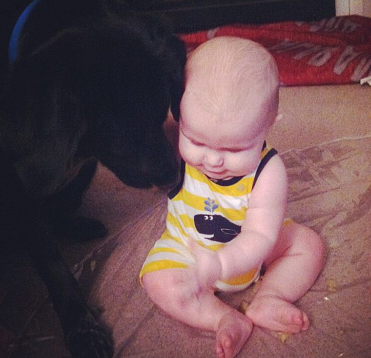 Cane che coccola una bambina