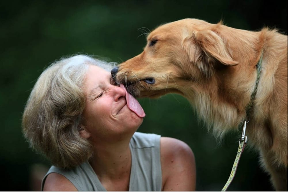 Cane che lecca una donna