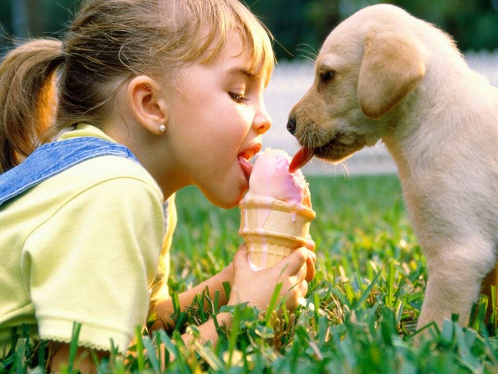 Cane che mangia un gelato con una bambina