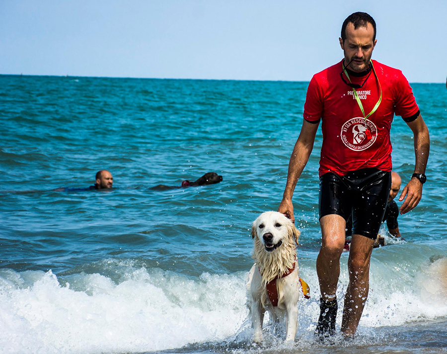 Cane da salvataggio insieme all'istruttore