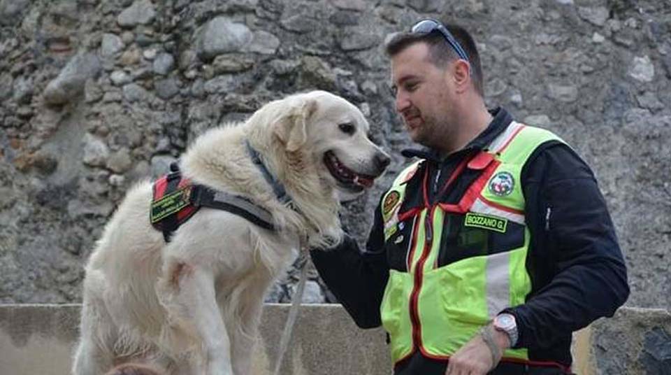 Cane da soccorso