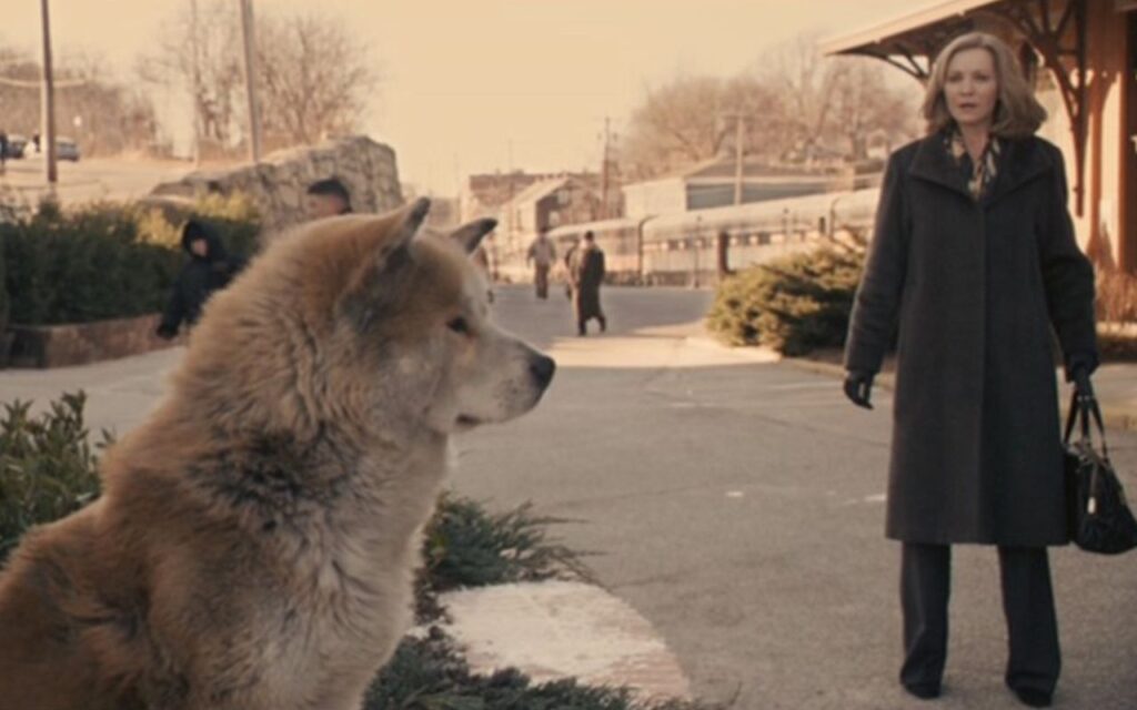 Cane hachiko