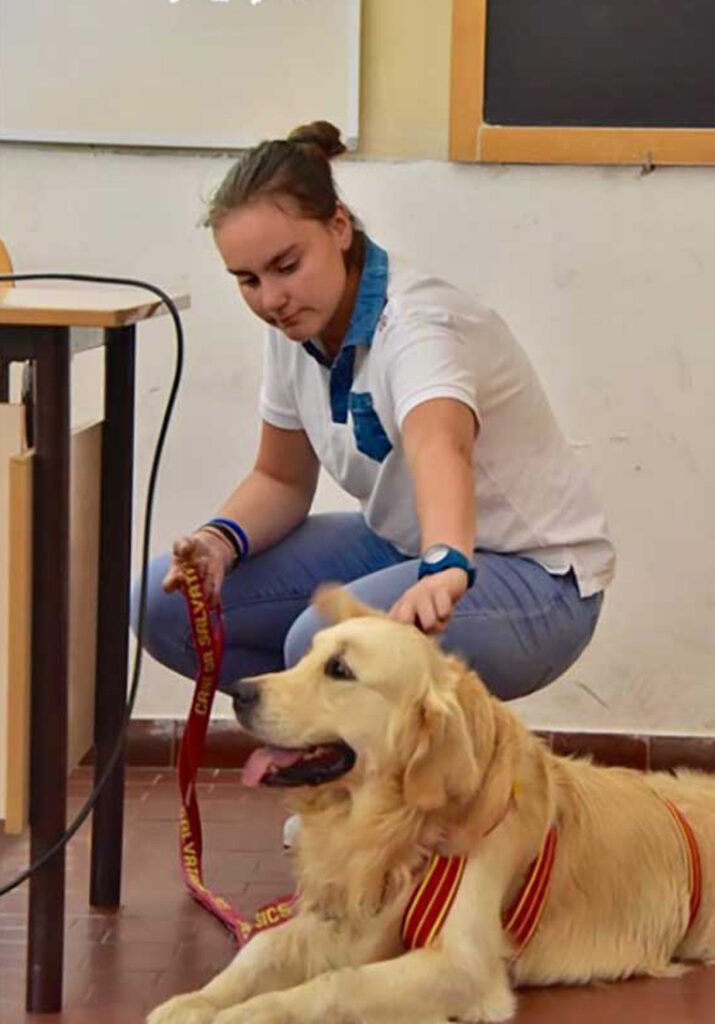 Cane in aula