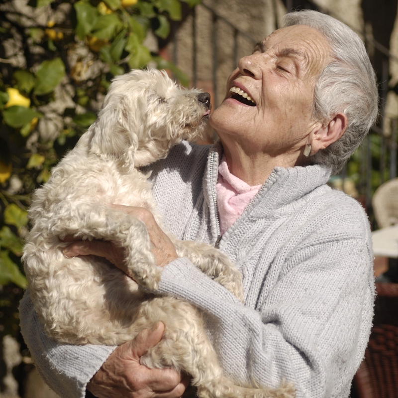 Cane in braccio ad una donna anziana