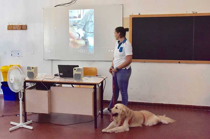 Cane in una classe