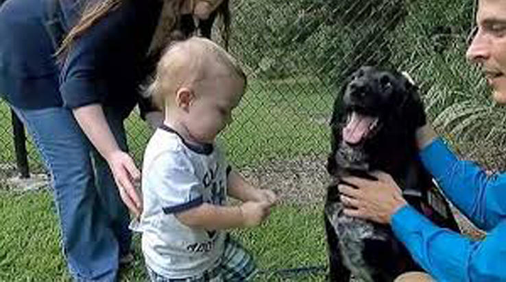 Cane insieme ad una bambina