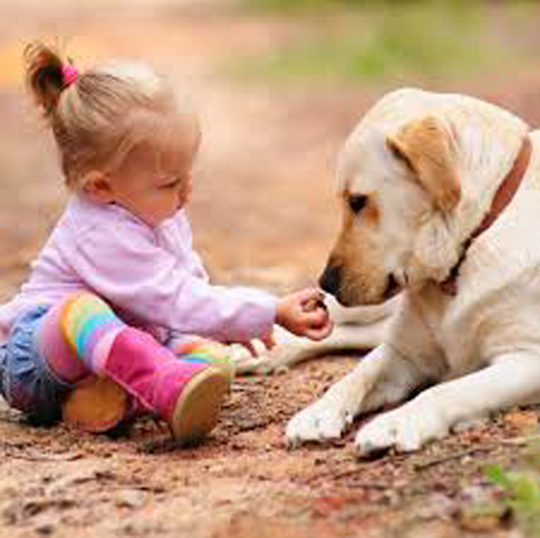 Cane insieme ad una bambina