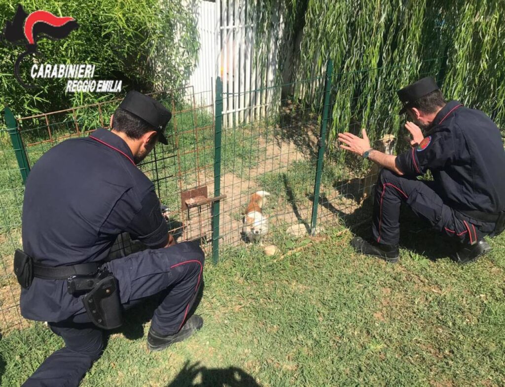 Cane salvato da un carabiniere