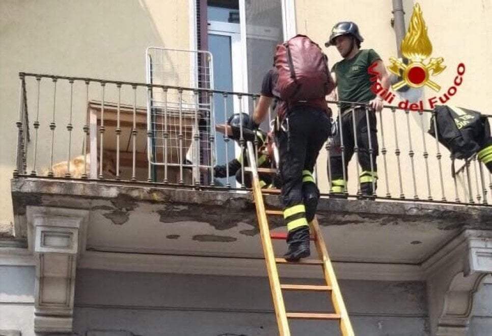 Cane salvato dai Vigili del Fuoco