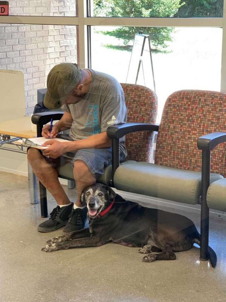 Cane sdraiato accanto ad un uomo