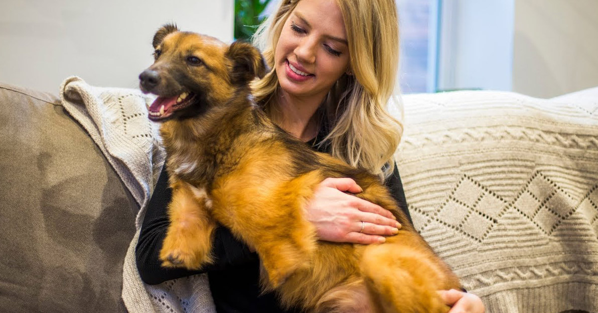 True, il cane che non ha più le zampe per colpa di una punizione