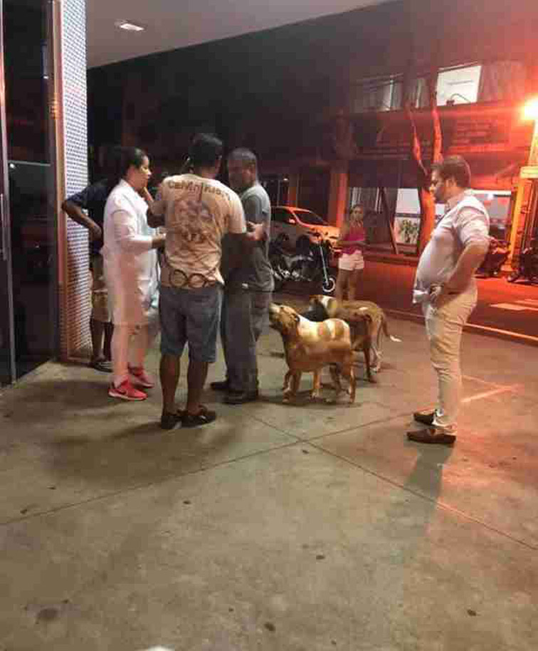 Cani fuori da un ospedale