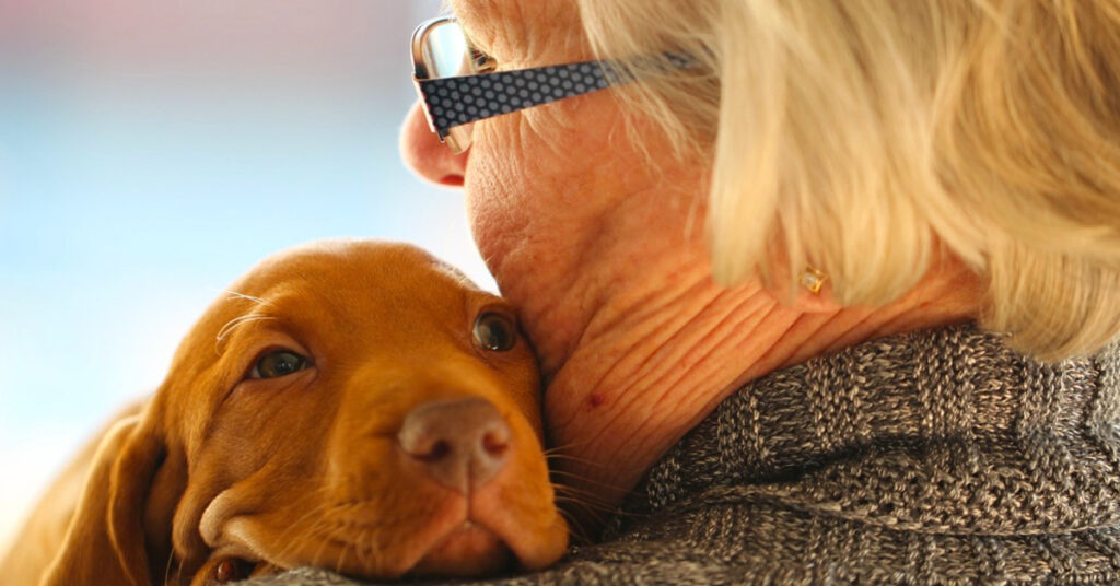 Cucciolo di cane con una donna anziana