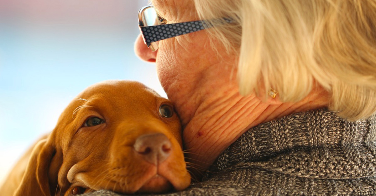 Pavia: cane veglia per due giorni la proprietaria priva di vita