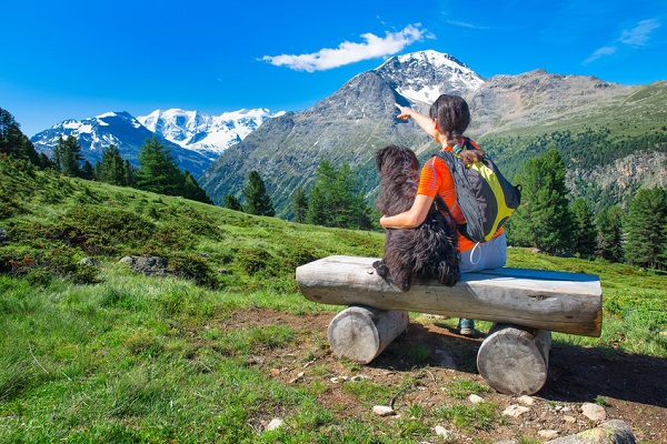 cane durante escursione in montagna